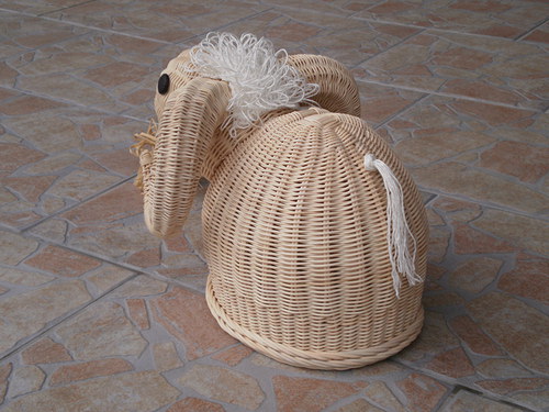 Beránek rohatý — foto 3