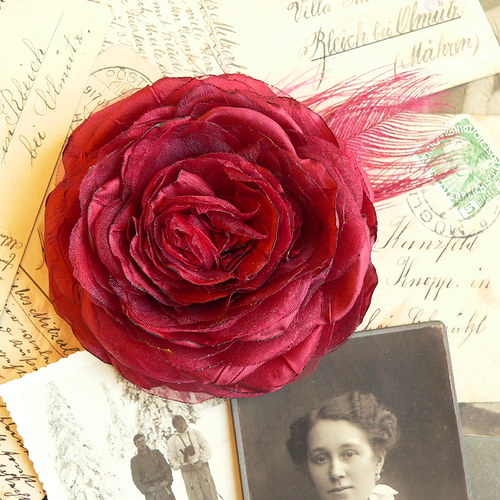 Where the wild roses grow — foto 2