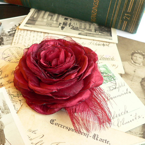 Where the wild roses grow — foto 3