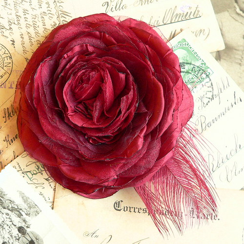 Where the wild roses grow — foto 4