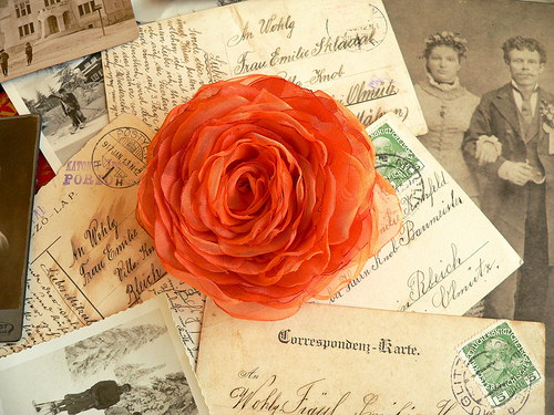 Where the wild roses grow — foto 2