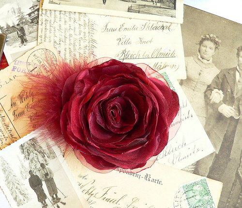 Where the wild roses grow — foto 2