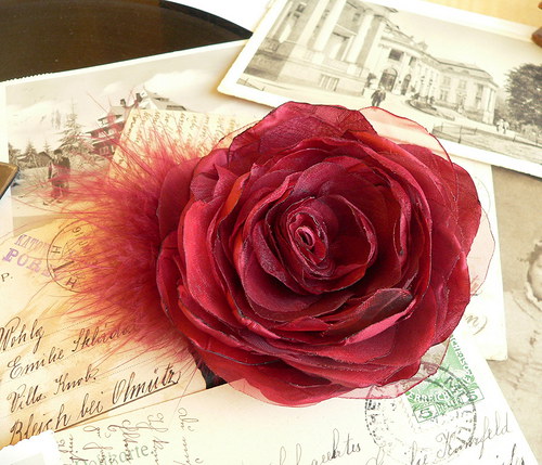 Where the wild roses grow — foto 3