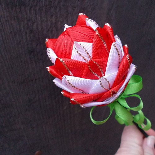 Červenobílý tulipán — foto 3
