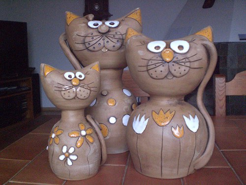Kočičí rodinka — foto 2