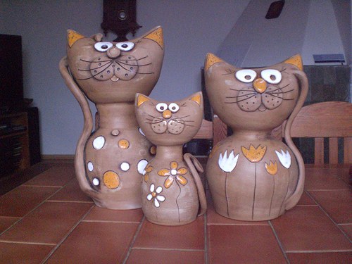 Kočičí rodinka — foto 3