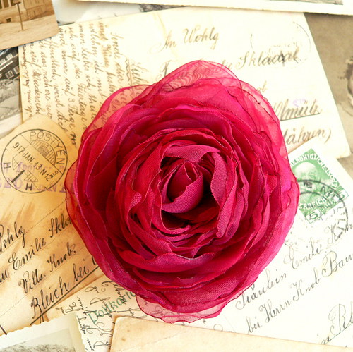 Where the wild roses grow — foto 2