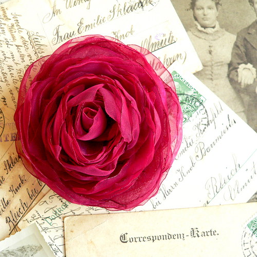 Where the wild roses grow — foto 3