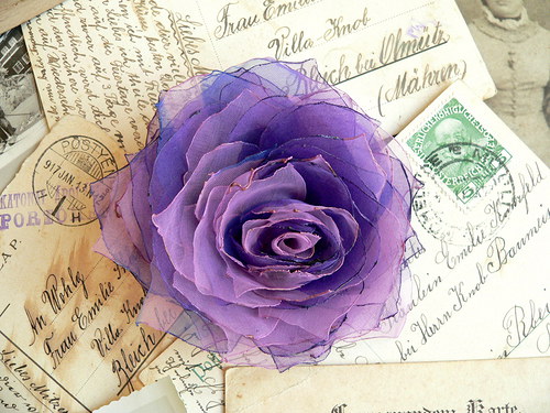 Where the wild roses grow — foto 2