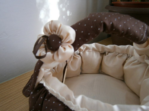 Hnědý puntík — foto 2