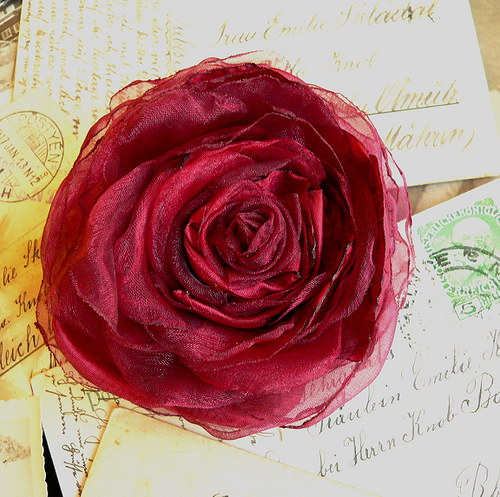 Where the wild roses grow — foto 3