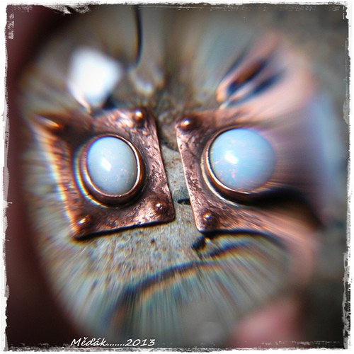 Sen o opálu......... — foto 4