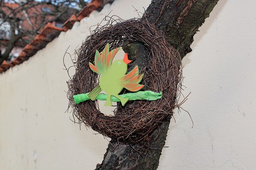 Věneček ptáček zpěváček — foto 2