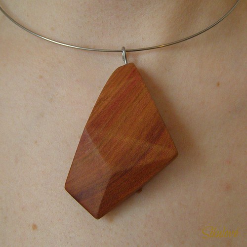Švěstkoň Geometrovič — foto 2