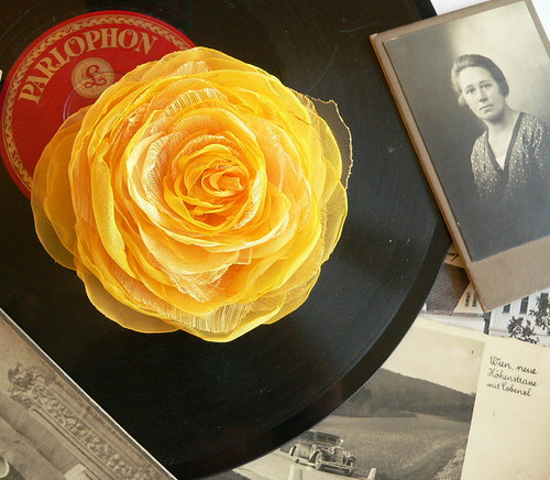 Where the wild roses grow — foto 2