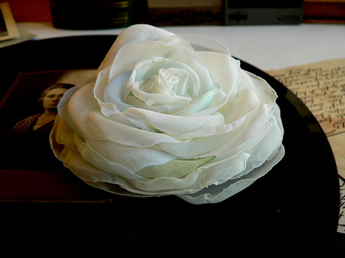 Where the wild roses grow — foto 2