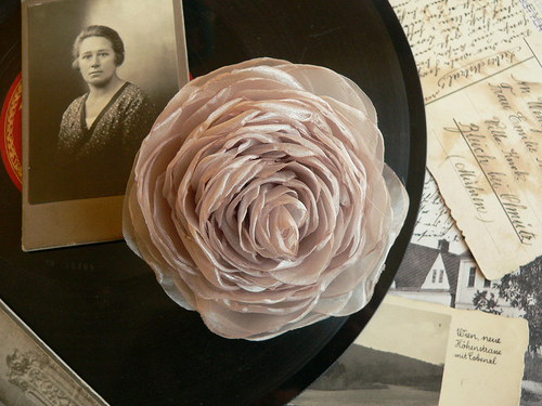 Where the wild roses grow — foto 2