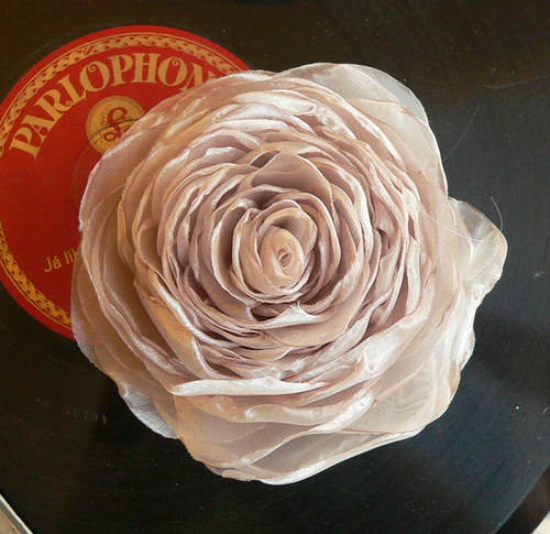 Where the wild roses grow — foto 3