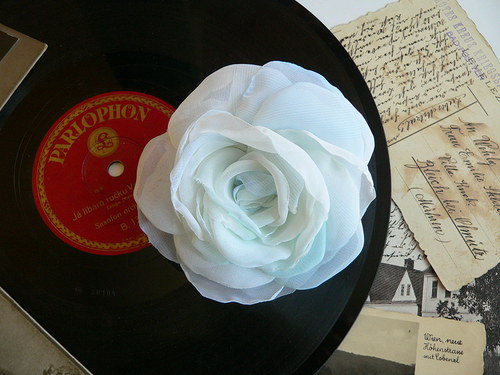 Where the wild roses grow — foto 2