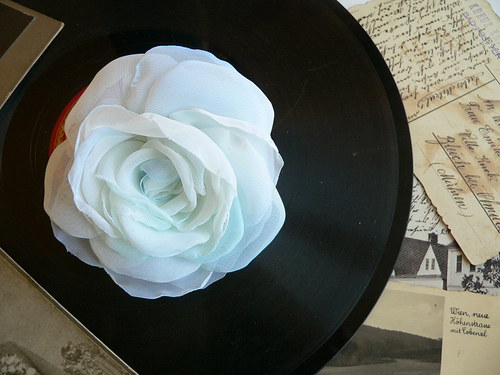 Where the wild roses grow — foto 3