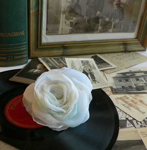 Where the wild roses grow — foto 4