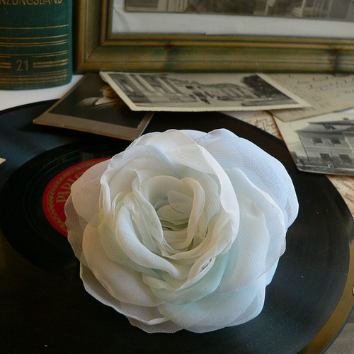 Where the wild roses grow — foto 5