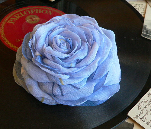 Where the wild roses grow — foto 2
