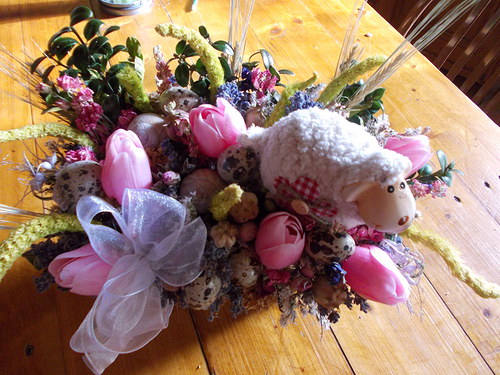 Mezi tulipány — foto 6