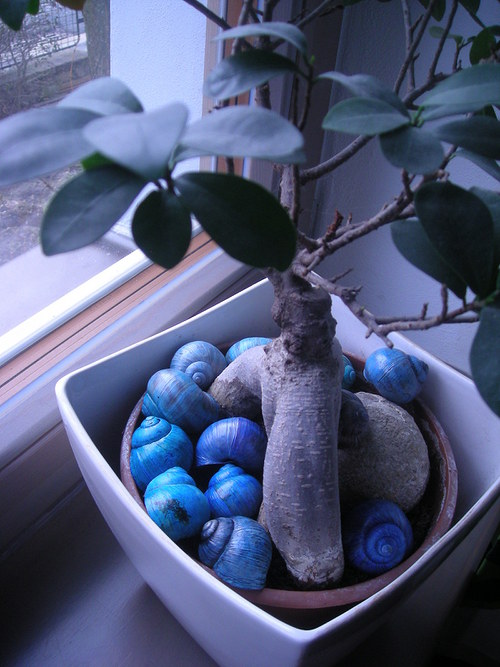 Ulity — foto 3