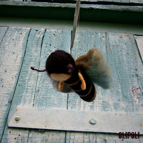 Motýlek — foto 2