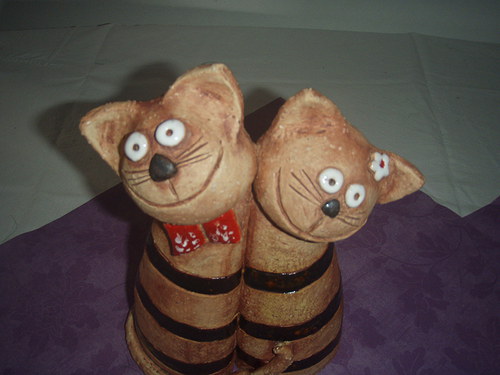 Kočičí duo — foto 3