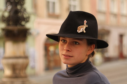Zajíc polní — foto 2