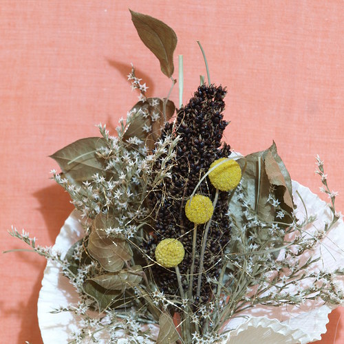 Kytice — foto 2