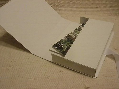 Svatební — foto 4