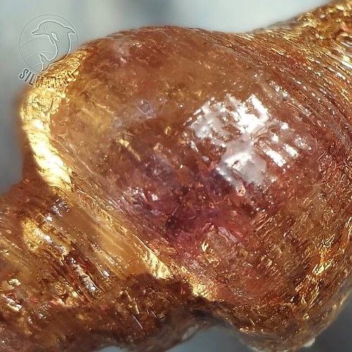 Mušle orgonitová "ametystové snění" 2 — foto 4