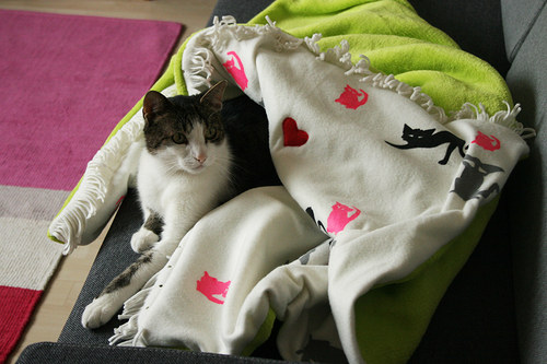 Cat valentine blanket — foto 2