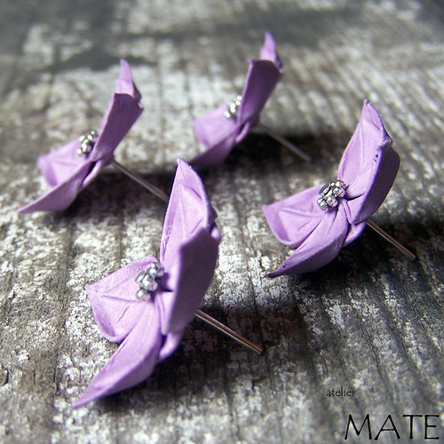 Matthiola incana — foto 2