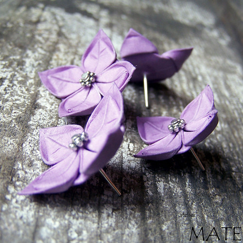 Matthiola incana — foto 3