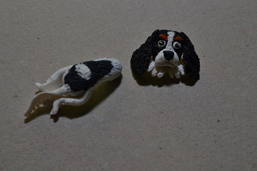 King charles španěl - na přání — foto 3