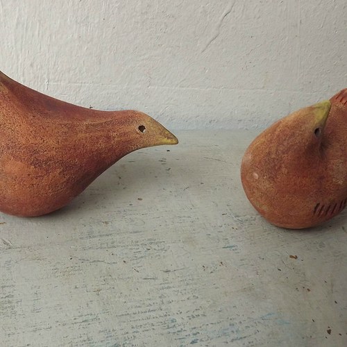 Ten zvědavý - hejno — foto 2