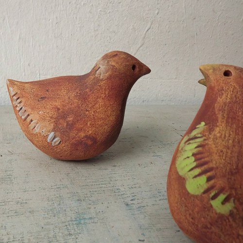 Ten se zelenou šešulkou - hejno — foto 2
