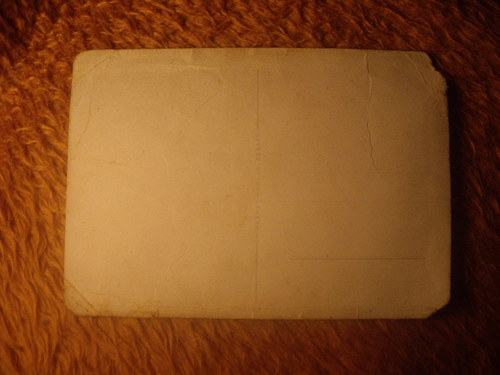 Proužkovaná — foto 2