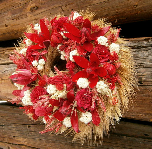 Muchomůrka červená — foto 2