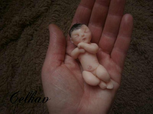 Mimuško — foto 6