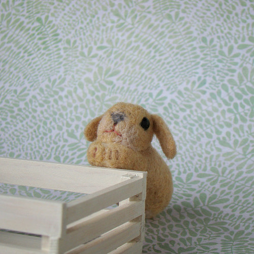 Pampeliška — foto 2