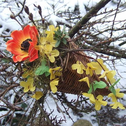 Jarní košíček — foto 6