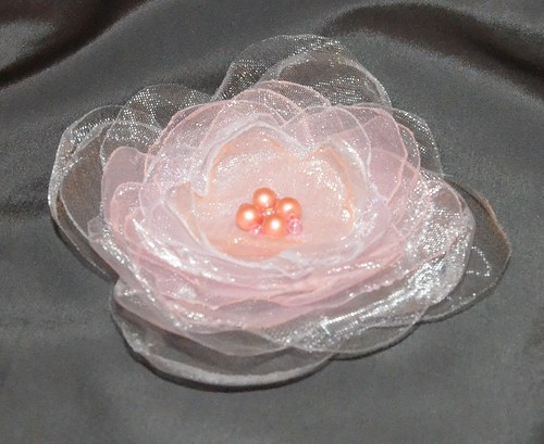 Brož - Růžovinka šedavá — foto 2