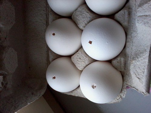 Bílá desítka — foto 2
