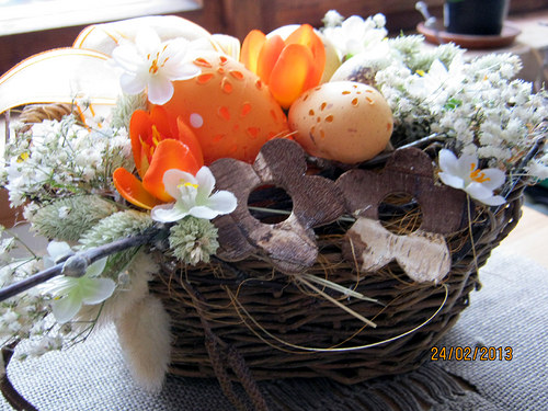 Velikonoční krokus-SLEVA — foto 2