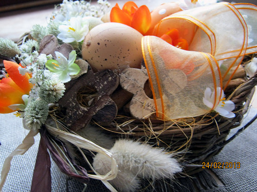 Velikonoční krokus-SLEVA — foto 4